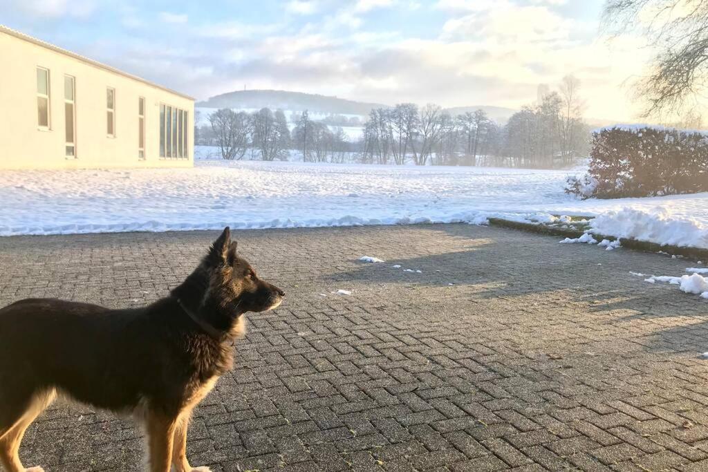 Ferienhaus Talblick Alpenrod Dış mekan fotoğraf
